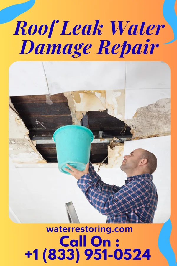 Roof Leak Water Damage Repair in Tindall, MO