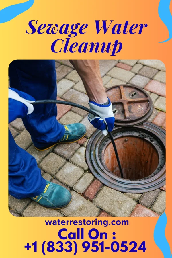 Sewage Water Cleanup in Tindall, MO